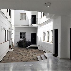 Luminoso Y Amplio Apartamento En El Centro Historico De Sevilla