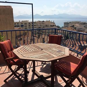 les terrasses du Suquet
