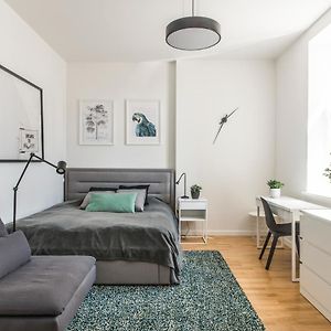 Cozy Modern Studio - Great For Short Trips