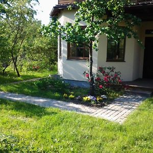 Boutigue City House With Terrace And Garden Free Parking