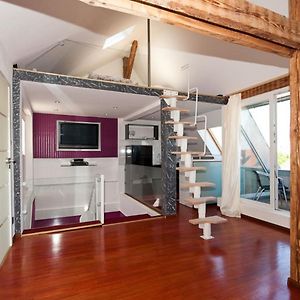 City Lux Apartment In Der Stadt
