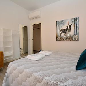 Appartement Supérieur Annexé
