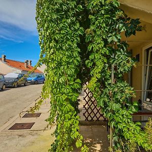 Plavac Mali Suites