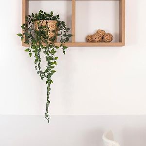 Appartement à 3 Chambres à Coucher