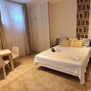 Studio Flat In The Center Of Budapest