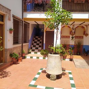 Apartamento Patio De San Lorenzo Vft/Co/00990