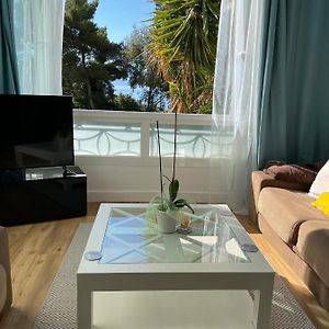 Appartement neuf, T3, route des Sanguinaires