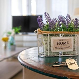 Genteel Home Litoral