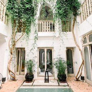 Riad Safa