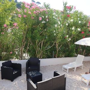 Le Petit Paradis