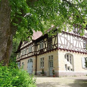 Bed & Breakfast Gruenes Gold Am Leisberg