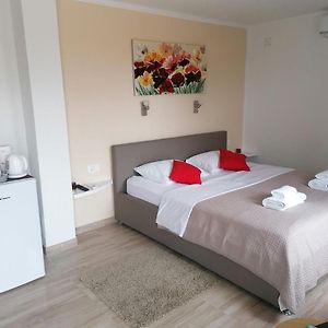 Room Alfa