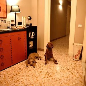 Private Bathroom King Room