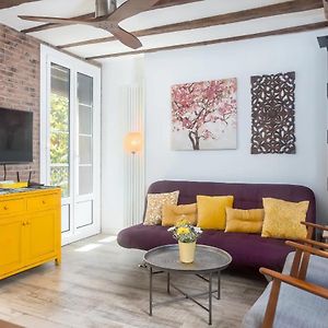 The Rentals Collection - Sarriegi