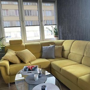 Grey Gucci Apartment City Center