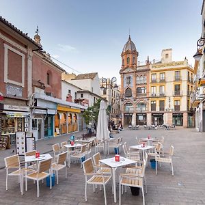 San Isidoro Cathedral Oasis By Valcambre