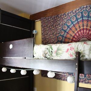 Dormitory Room Mixed