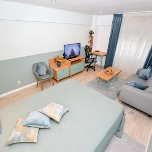 Appartement à 1 Chambre à Coucher