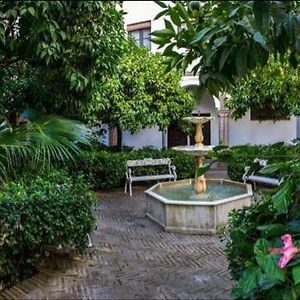 Apartamento De Dos Dormitorios En Plaza Alfaro