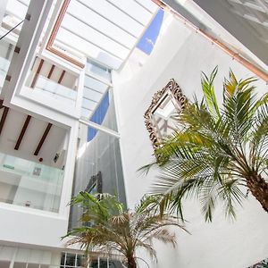 Appartement Rez-de-Chaussée