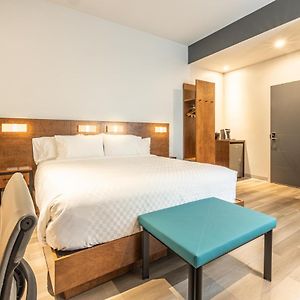 Chambre Standarde Lit King-Size