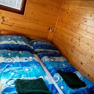Mobile Home