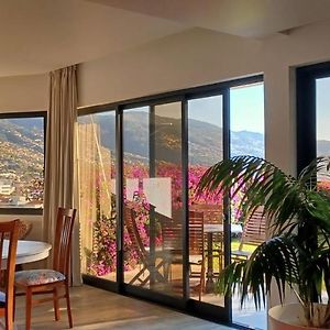 Appartement de Luxe