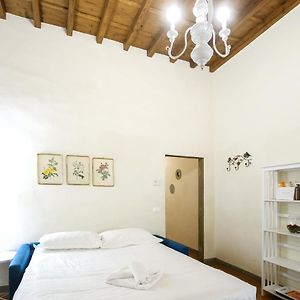 Roomy And Elegant Apartment By Piazza Pitti