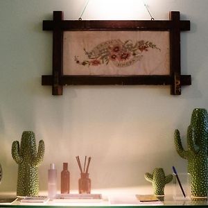 The Cacti House