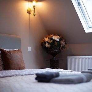 Luxury Suites Meir