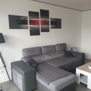 Mulhouse,Grand appart cosy&lumineux, 78m2 , pour 6 personnes