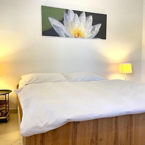 Booklovers Apartment Close To Center