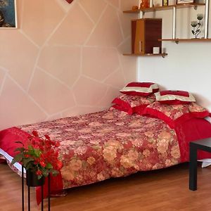 Charming Quiet Studio Coltea Old Town In The Centre Of Bucharest