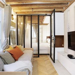 Superb apartment Place des Vosges Le Marais (Charles V)