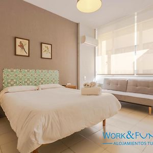 Appartement à 1 Chambre à Coucher