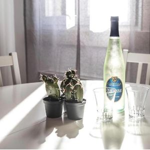 Appartement de Luxe