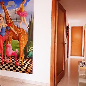 Suite Junior