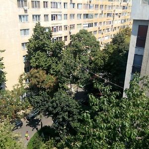 Apartament Sonia