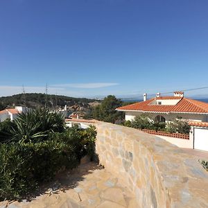 Punta Xeric