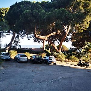 Appartement Ajaccio Sanguinaires