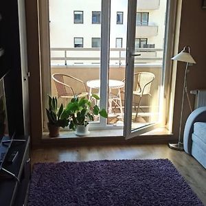 Appartement à 1 Chambre à Coucher