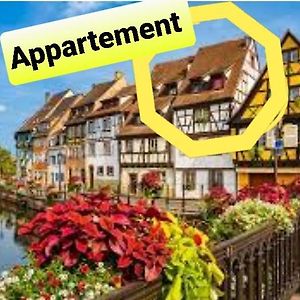 Appartement à 1 Chambre à Coucher