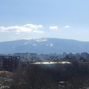 Mountain view apartment