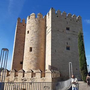 Loft La Calahorra Con Posibilidad De Aparcamiento Pregunta Por El Pack Mas Amor
