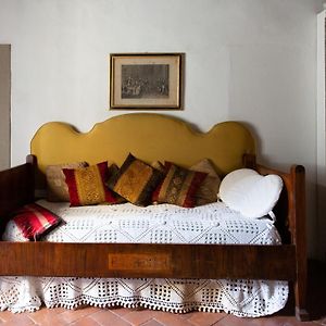 Comfy Apartment Near Palazzo Pitti