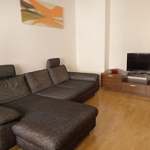 Lion Apartments In Historical Center, Bratislava Old Town