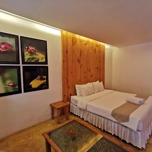 Chambre de Luxe Lit King-Size