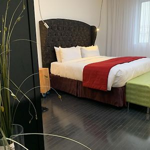 Suite Junior