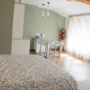 Saint Etienne : appartement Châteaucreux 40 M2