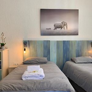 Appartement à 1 Chambre à Coucher